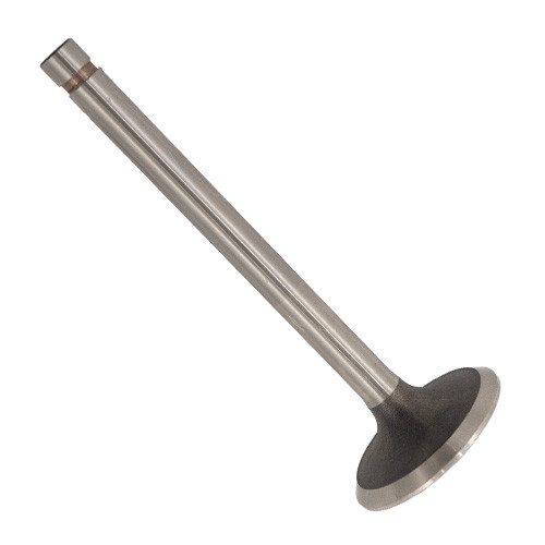 New Replacement Exhaust Valve Fits 62-64 Truck with 6-230 engine