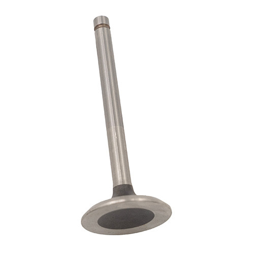 New Replacement Exhaust Valve Fits 62-64 Truck with 6-230 engine