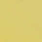 US Made Fiesta Yellow Paint (1 Gallon) Fits 41-71 Jeep & Willys